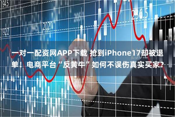 一对一配资网APP下载 抢到iPhone17却被退单!电商平台“反黄牛”如何不误伤真实买家?