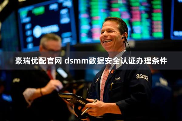 豪瑞优配官网 dsmm数据安全认证办理条件