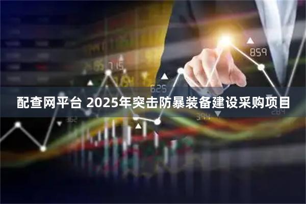 配查网平台 2025年突击防暴装备建设采购项目
