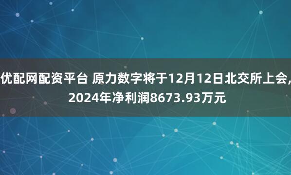 优配网配资平台 原力数字将于12月12日北交所上会, 2024年净利润8673.93万元