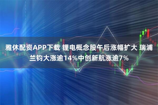 雅休配资APP下载 锂电概念股午后涨幅扩大 瑞浦兰钧大涨逾14%中创新航涨逾7%